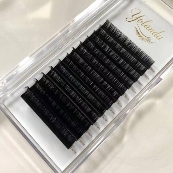 微信图片_20241220102329 (1)