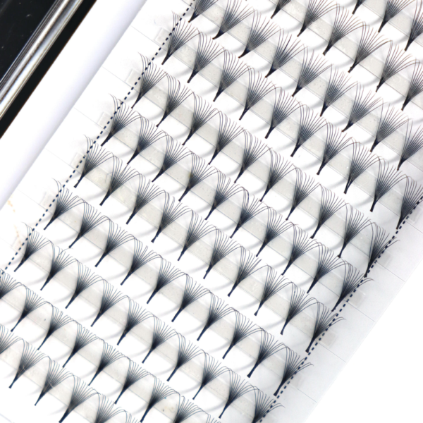 微信图片_20250309161255