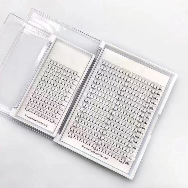 微信图片_20250309161311