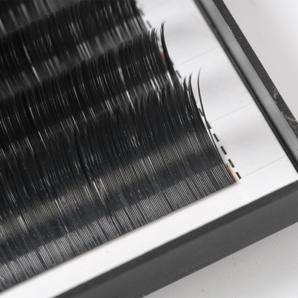 微信图片_20250309162555